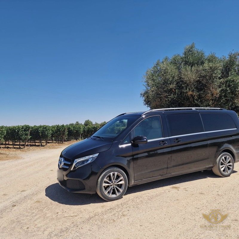 Algarve Limos Mercedes V-Class at a vineyard during a private wine tour